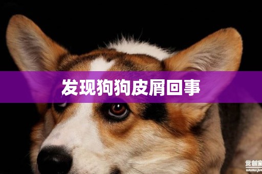 发现狗狗皮屑回事